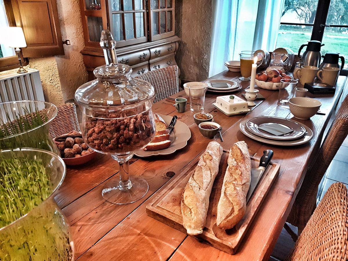 Bed and Breakfast Le Domaine Saint Martin Flassans-sur-Issole Zewnętrze zdjęcie