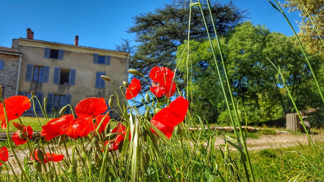 Bed and Breakfast Le Domaine Saint Martin Flassans-sur-Issole Zewnętrze zdjęcie